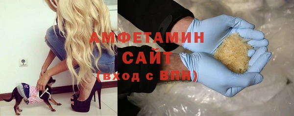 индика Волоколамск