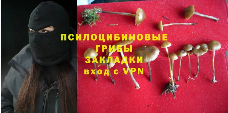 Галлюциногенные грибы Magic Shrooms  где продают   Электроугли 